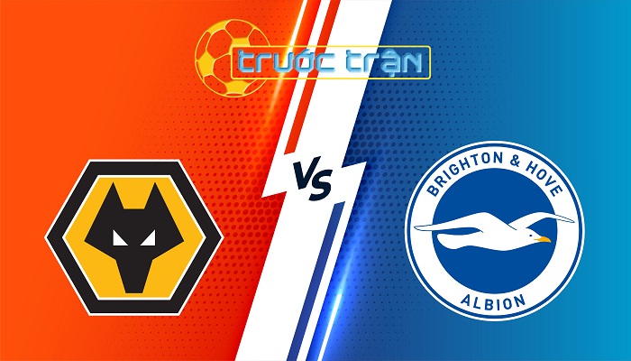 Wolves vs Brighton – Soi kèo hôm nay 21h00 10/05/2025 – Ngoại Hạng Anh